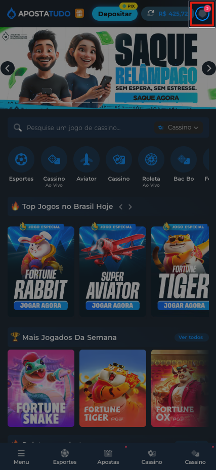 imagem mostrando onde entrar para encontrar o ID da conta
